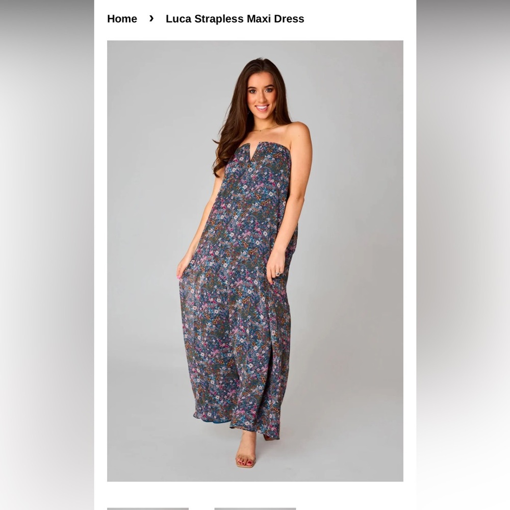 Buddy love Luca strapless maxi dress blue floral size large!